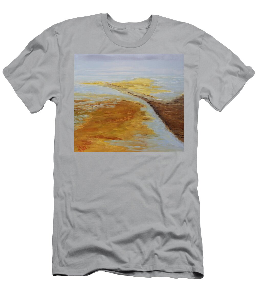 Acrylic Msc 105 Mario Sergio Calzi T-Shirt