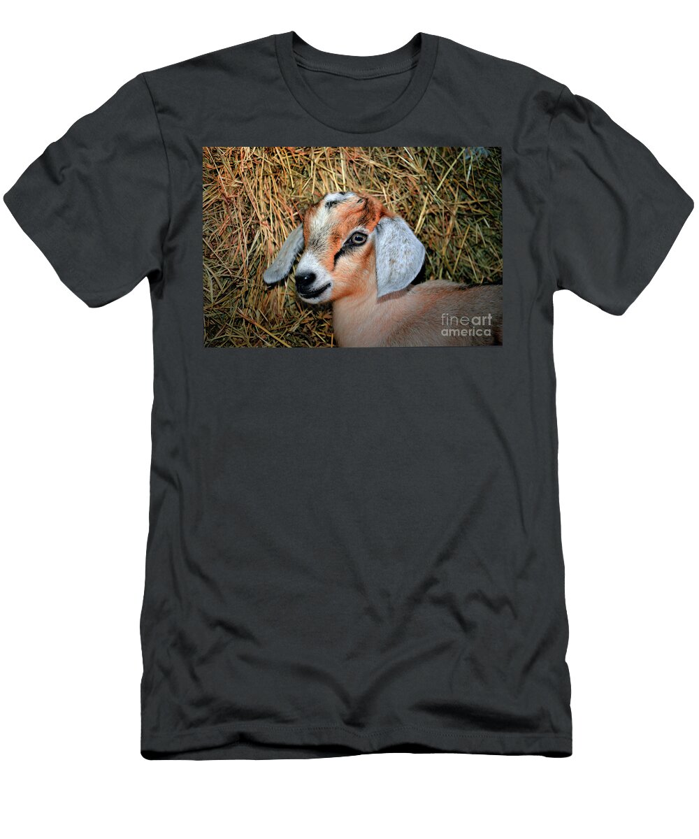 Adorable Baby Goat in the Hay Savannah Gibbs T-Shirt