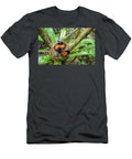 Adult Helmet Vanga Incubating a Clutch of 3 Eggs Nest Nick Garbutt Natureplcom T-Shirt