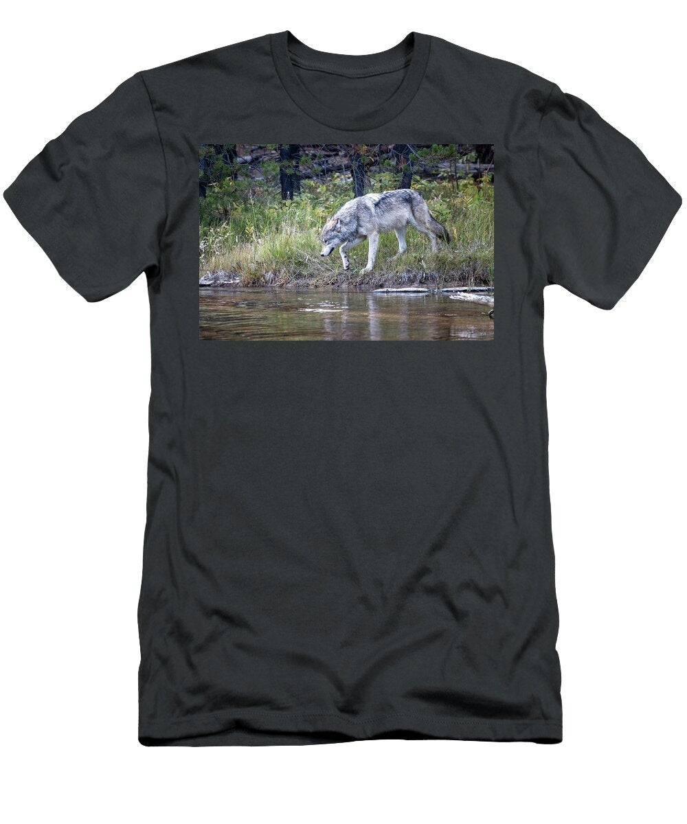 Adventurer Julie Argyle T-Shirt