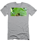 Affinity Again Cat Pancake T-Shirt