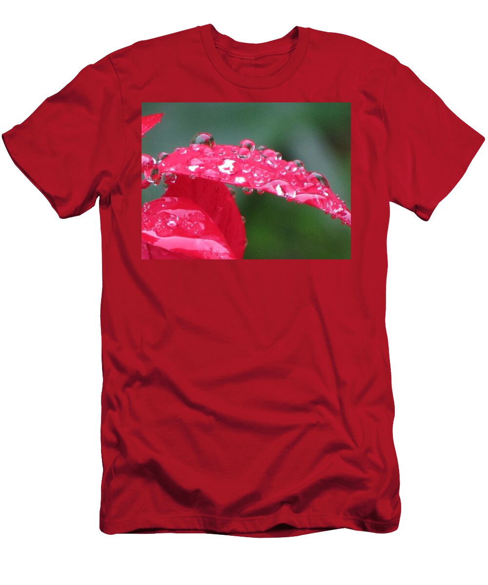 Affinity Cat Pancake T-Shirt