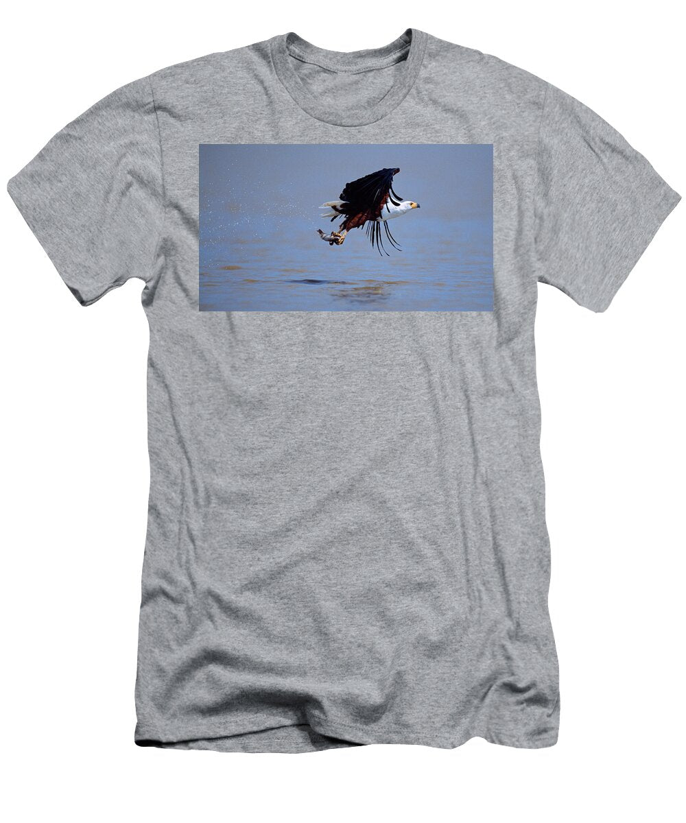 African Fish Eagle Haliaeetus Vocifer Panoramic Images T-Shirt