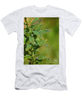 After the Rain Cat Pancake T-Shirt