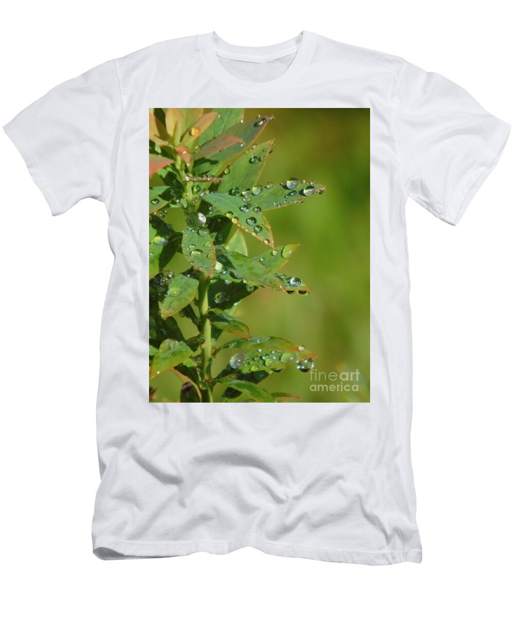 After the Rain Cat Pancake T-Shirt