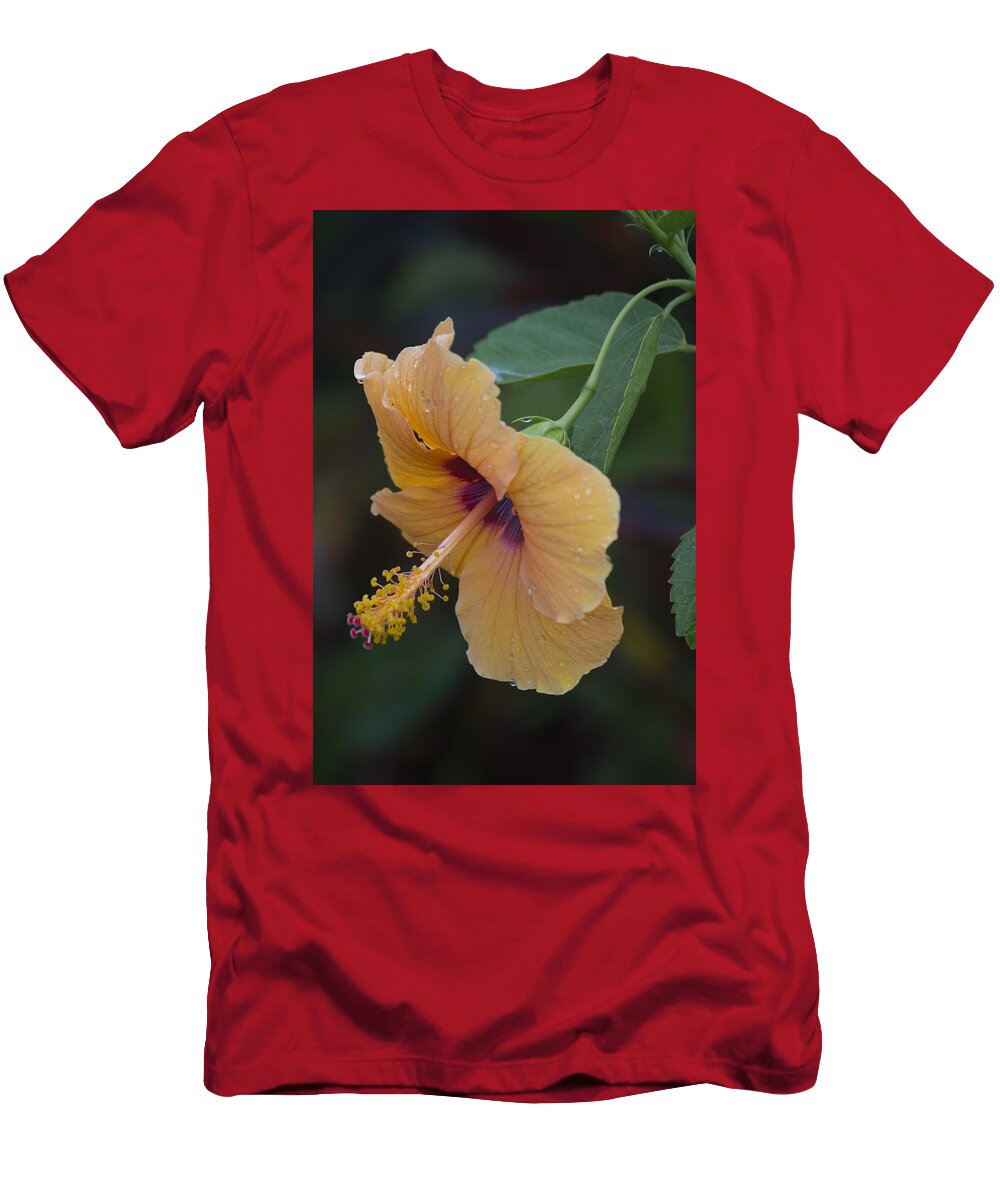 After the Rain Karen Warner T-Shirt