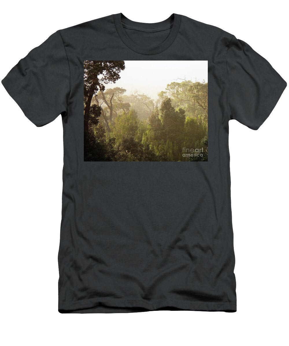 Afternoon Mist Cat Pancake T-Shirt
