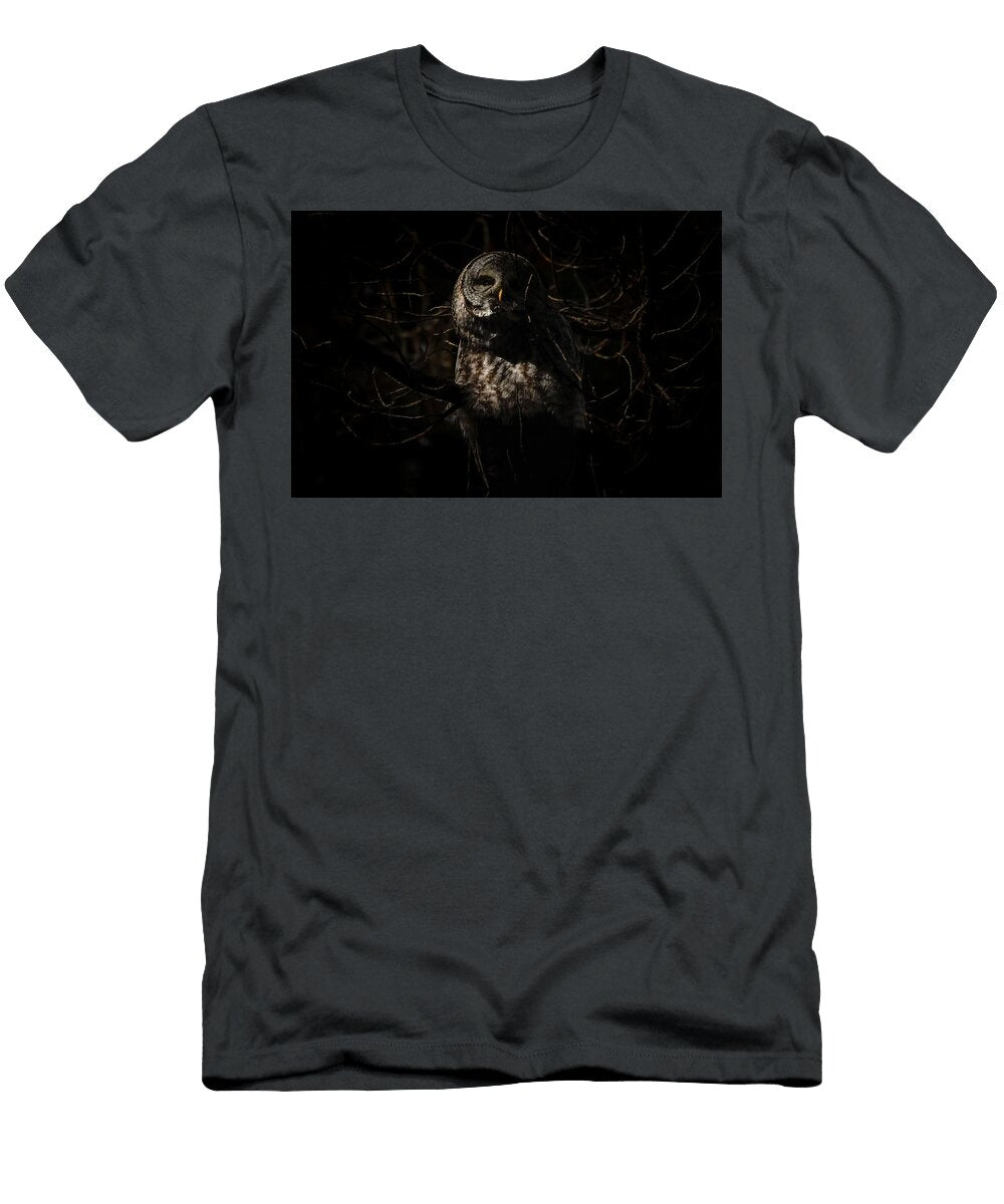 Afternoon Sun Julie Argyle T-Shirt