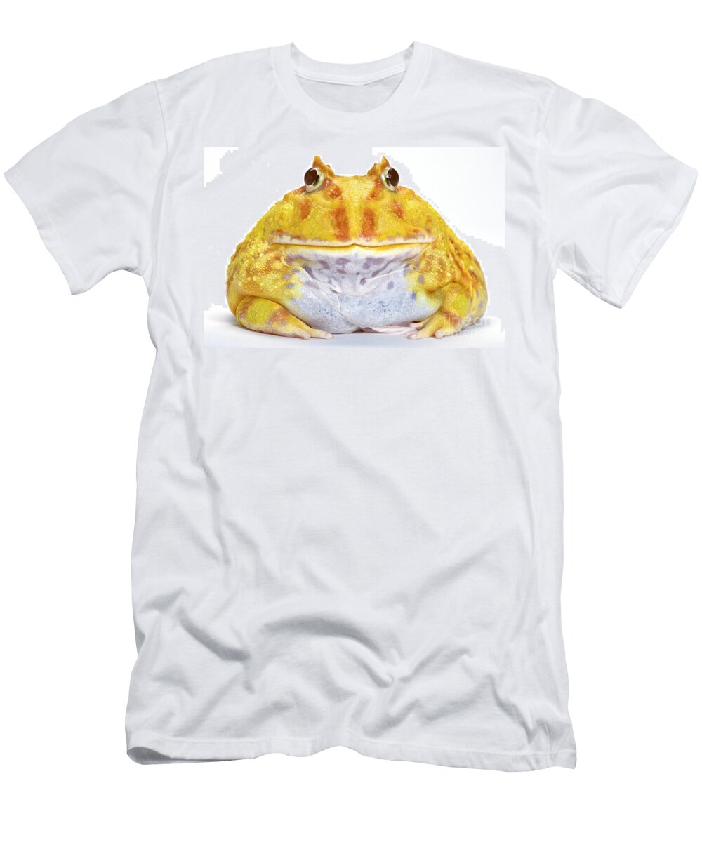 Albino Chacoan Horned Frog Michel Gunther T-Shirt