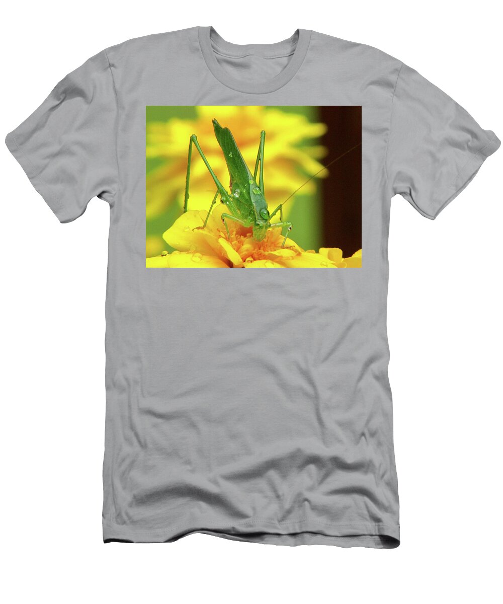 All Wet Art By Onyx T-Shirt