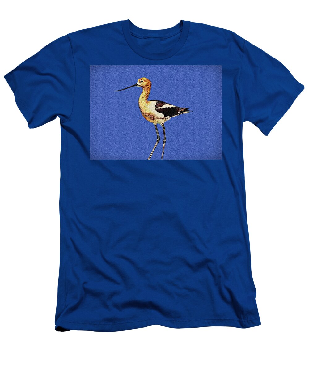 American Avocet Bird David Dehner T-Shirt