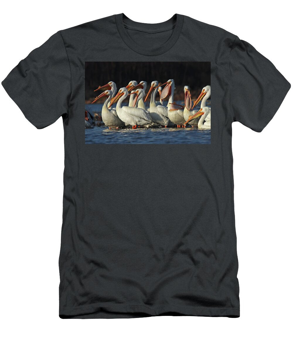 American White Pelicans 52 Indiana Steve Gass T-Shirt