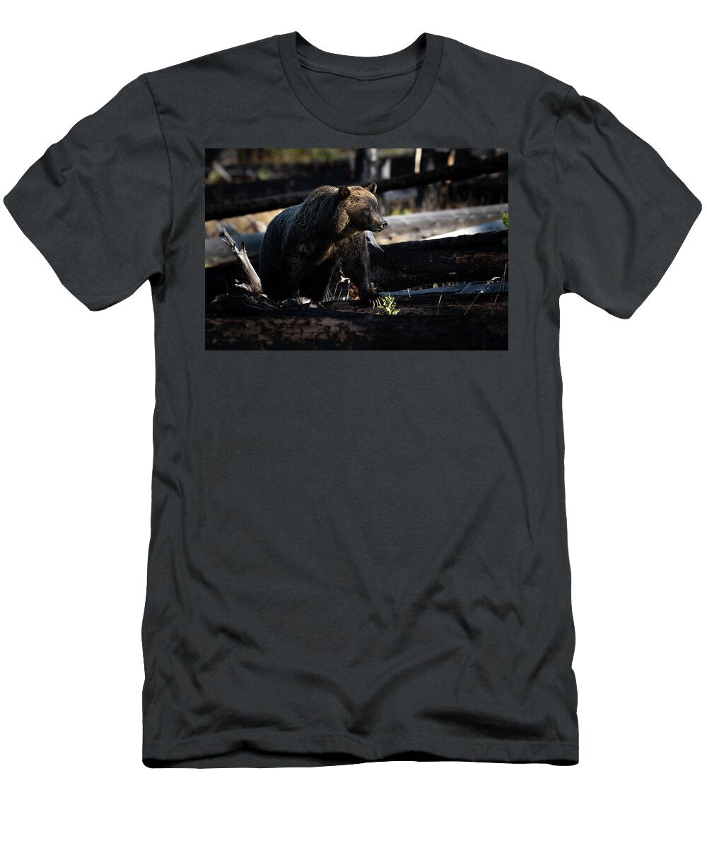 Amongst the Shadows Julie Argyle T-Shirt