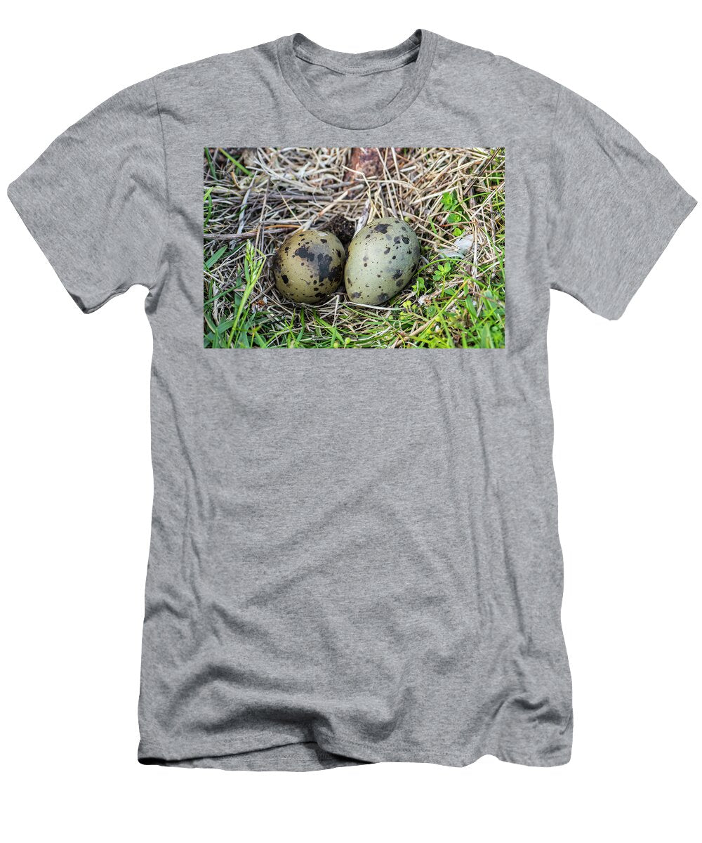 Arctic Tern Typical Clutch of Two Mottled and Camouflaged Philippe Clement Natureplcom T-Shirt