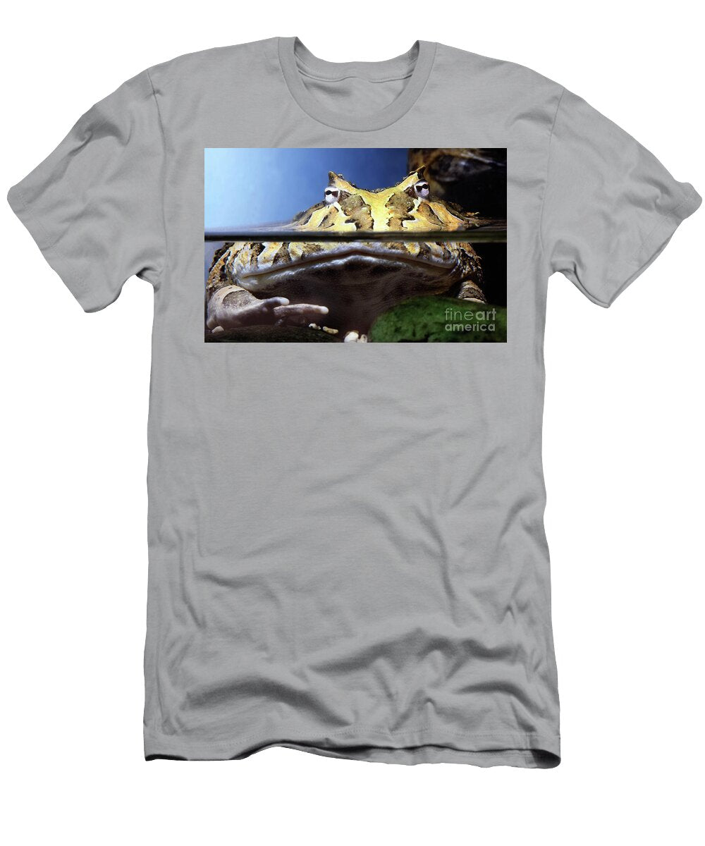 Argentine Horned Frog Ceratophrys Ornata Lepodactylidae Wernher Krutein T-Shirt