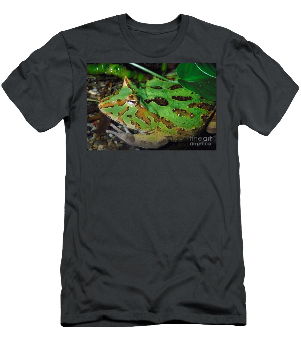 Argentine Horned Frog in Shallow Water Wernher Krutein T-Shirt