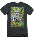 Argyle Falls Anthony C Chen T-Shirt
