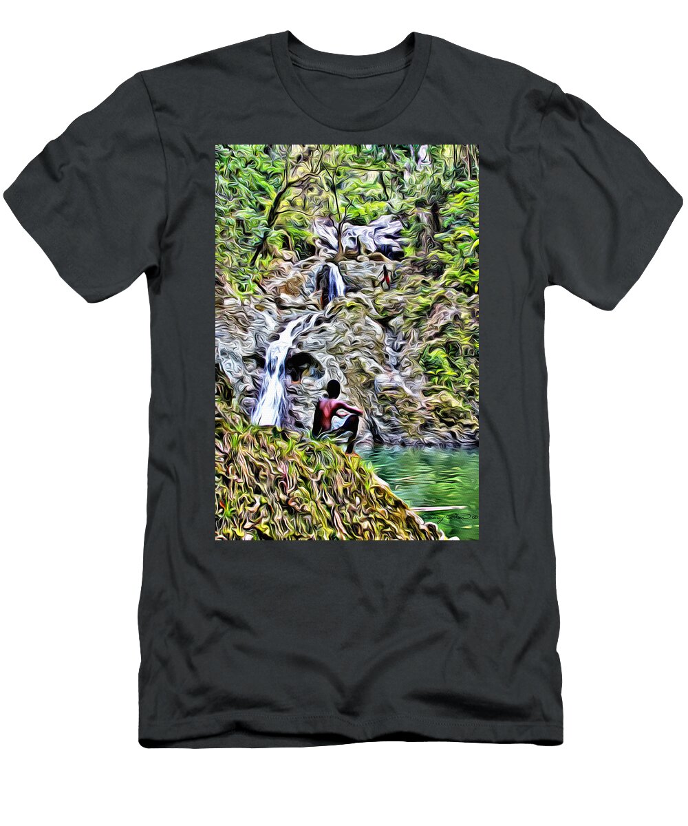 Argyle Falls Anthony C Chen T-Shirt