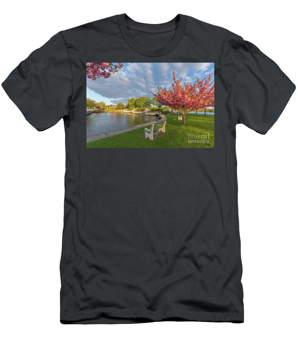 Argyle Falls Sean Mills T-Shirt