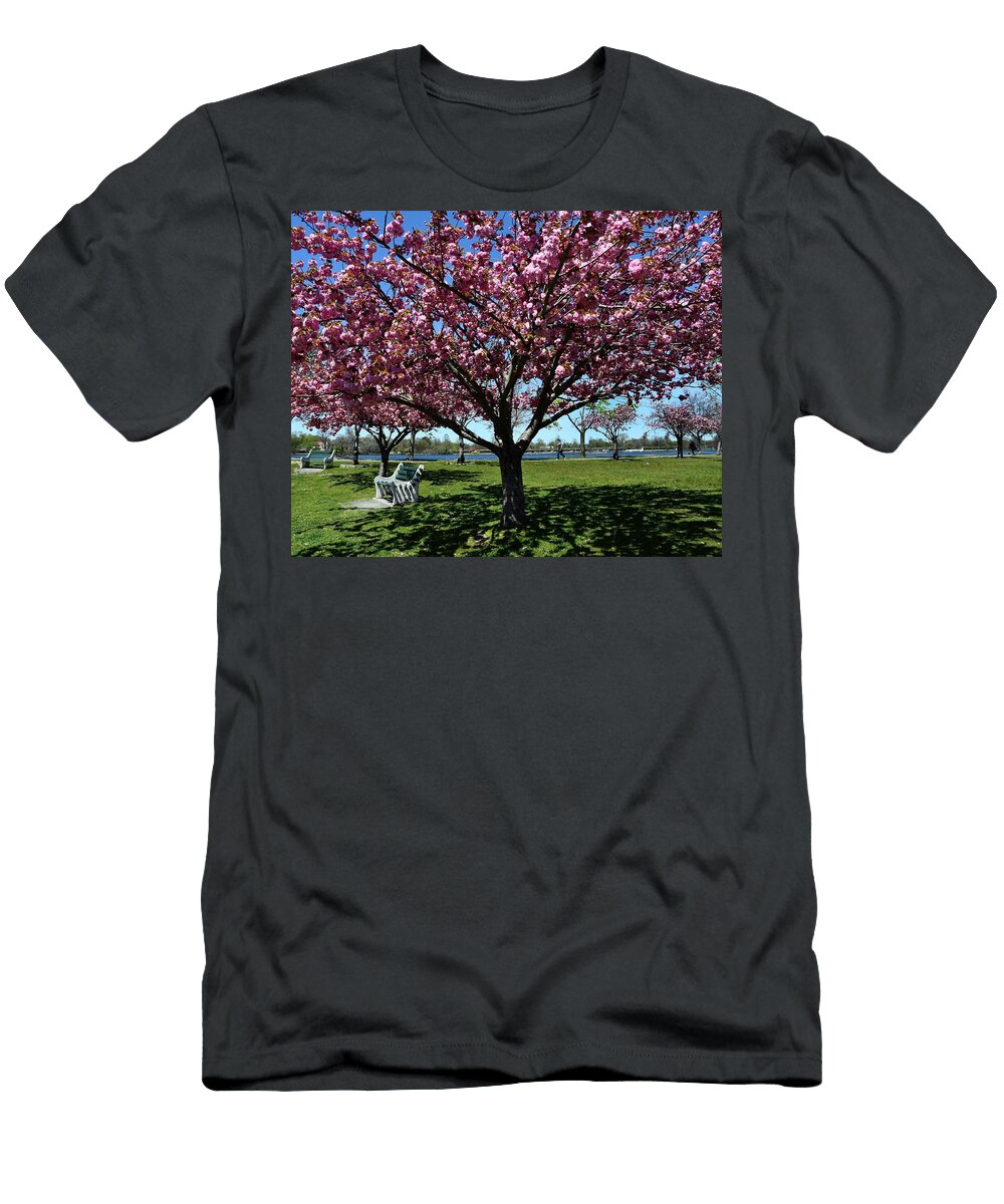 Argyle Park Eileen Oconnor T-Shirt