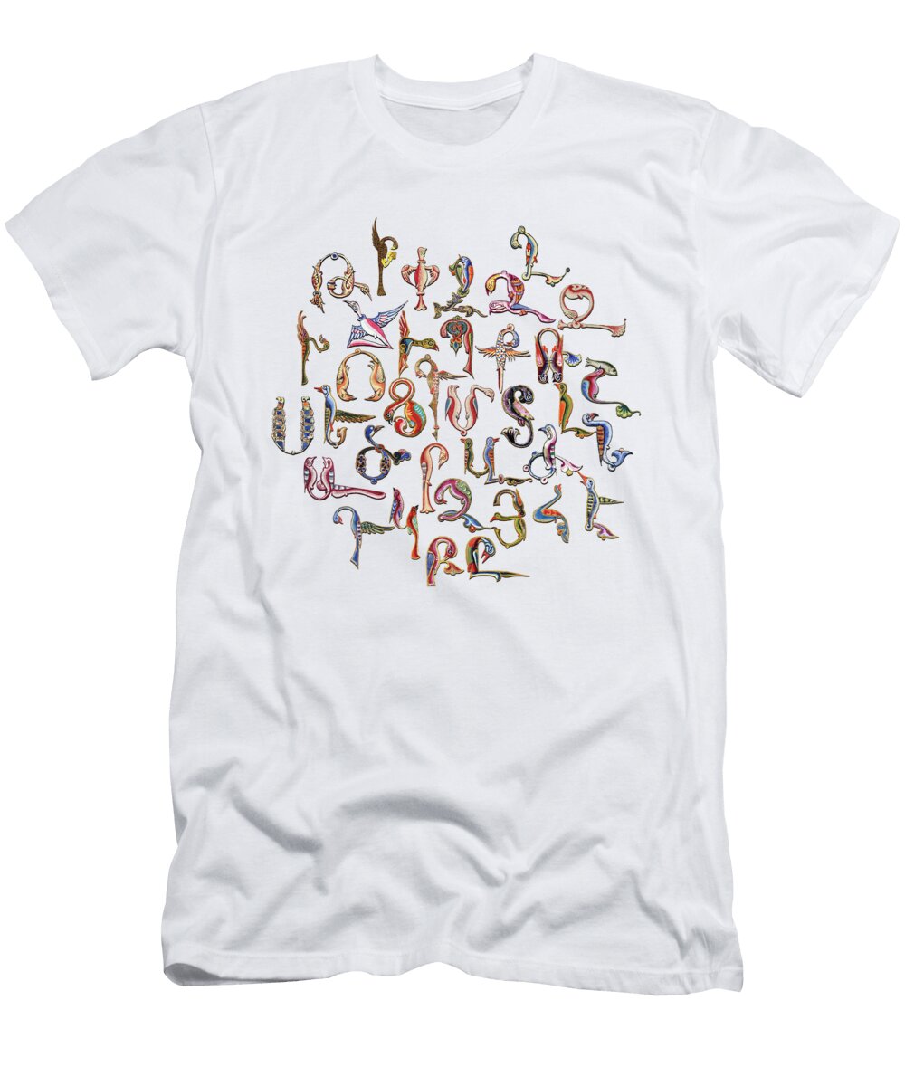 Armenian Birds Alphabet Peter Awax T-Shirt