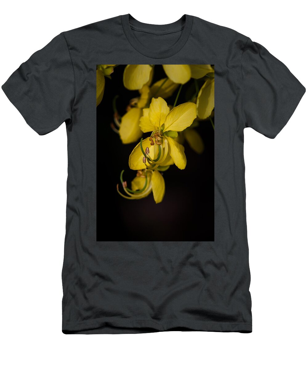 Armies of Beauty Mario Morales Rubi T-Shirt