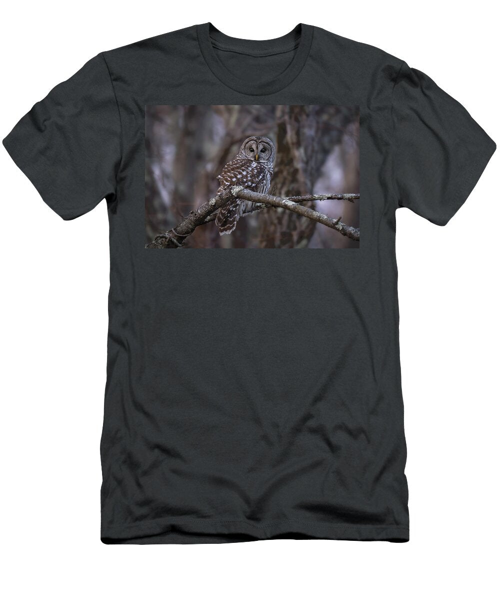As Night Approaches Nick Kalathas Natures Moments T-Shirt