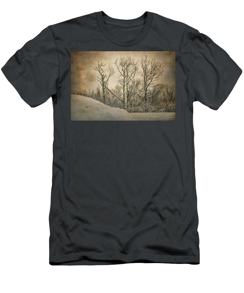 At the End of the Road Susan Capuano T-Shirt