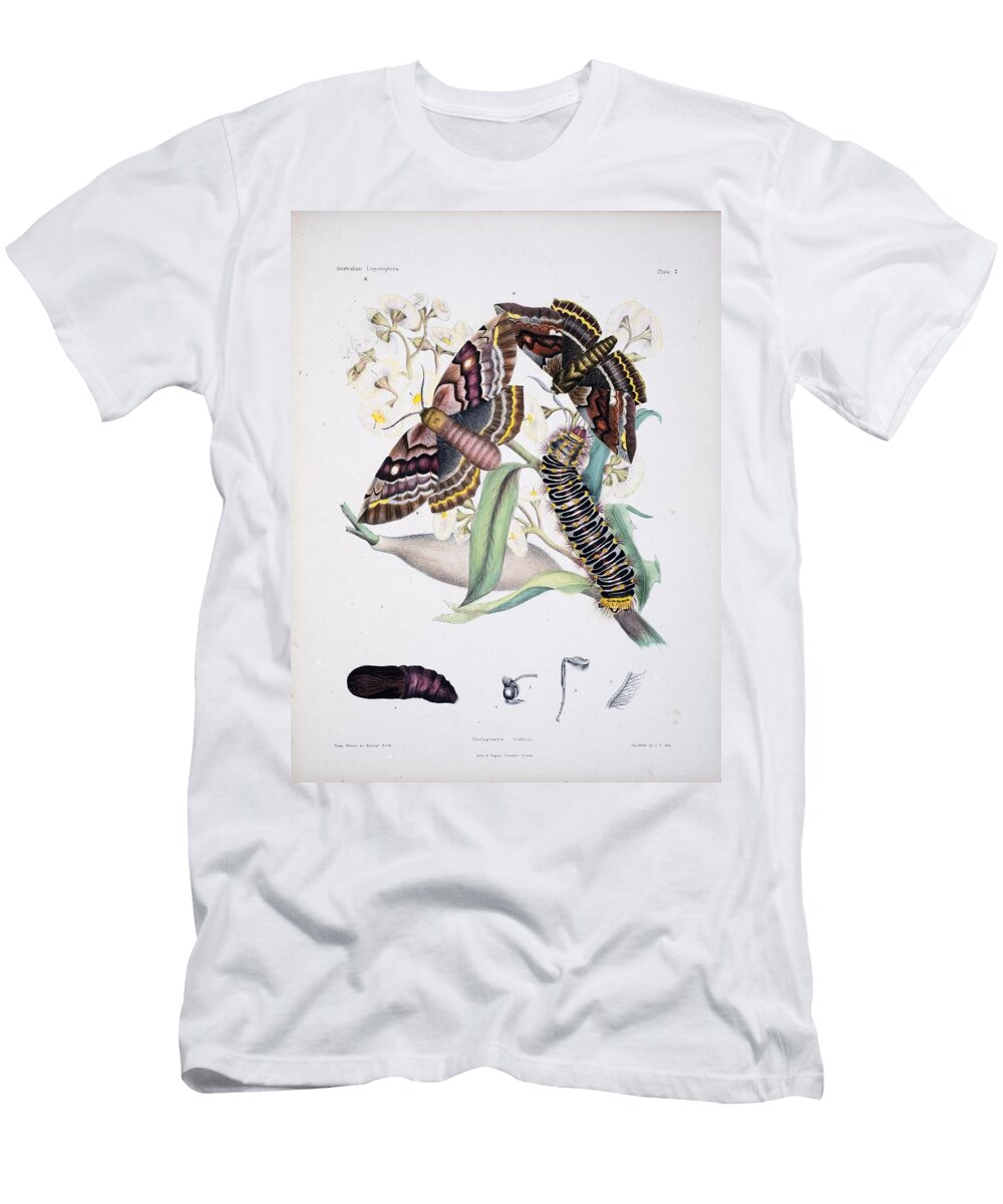 Australian Butterflies Unknown T-Shirt