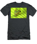 Australian Green Tree Frog Camouflaged on Palm Leaf Lake Steven David Miller Natureplcom T-Shirt