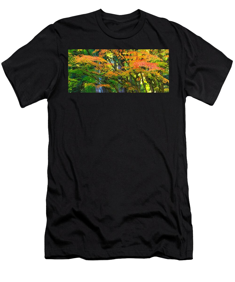 Autumn Kiss Kadek Susanto T-Shirt