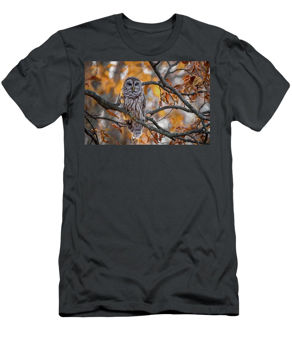 Autumn Leaves Nick Kalathas T-Shirt
