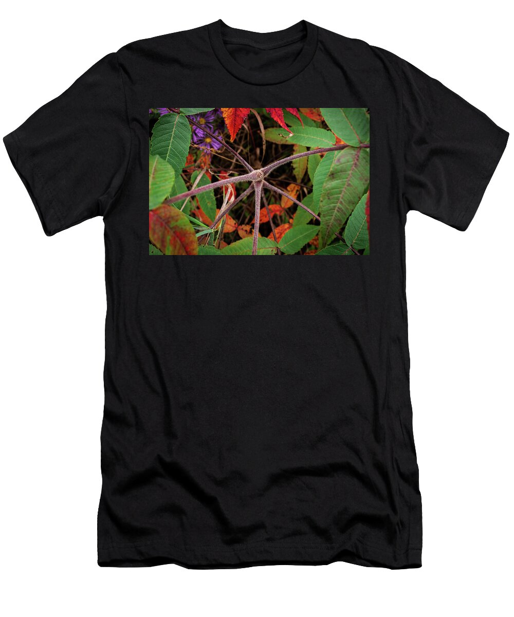 Autumn Leaves Nicole Richardson T-Shirt
