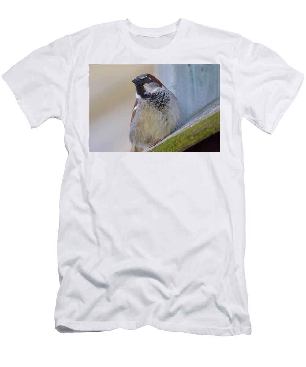 Avian Overwatch Spencer Bush T-Shirt