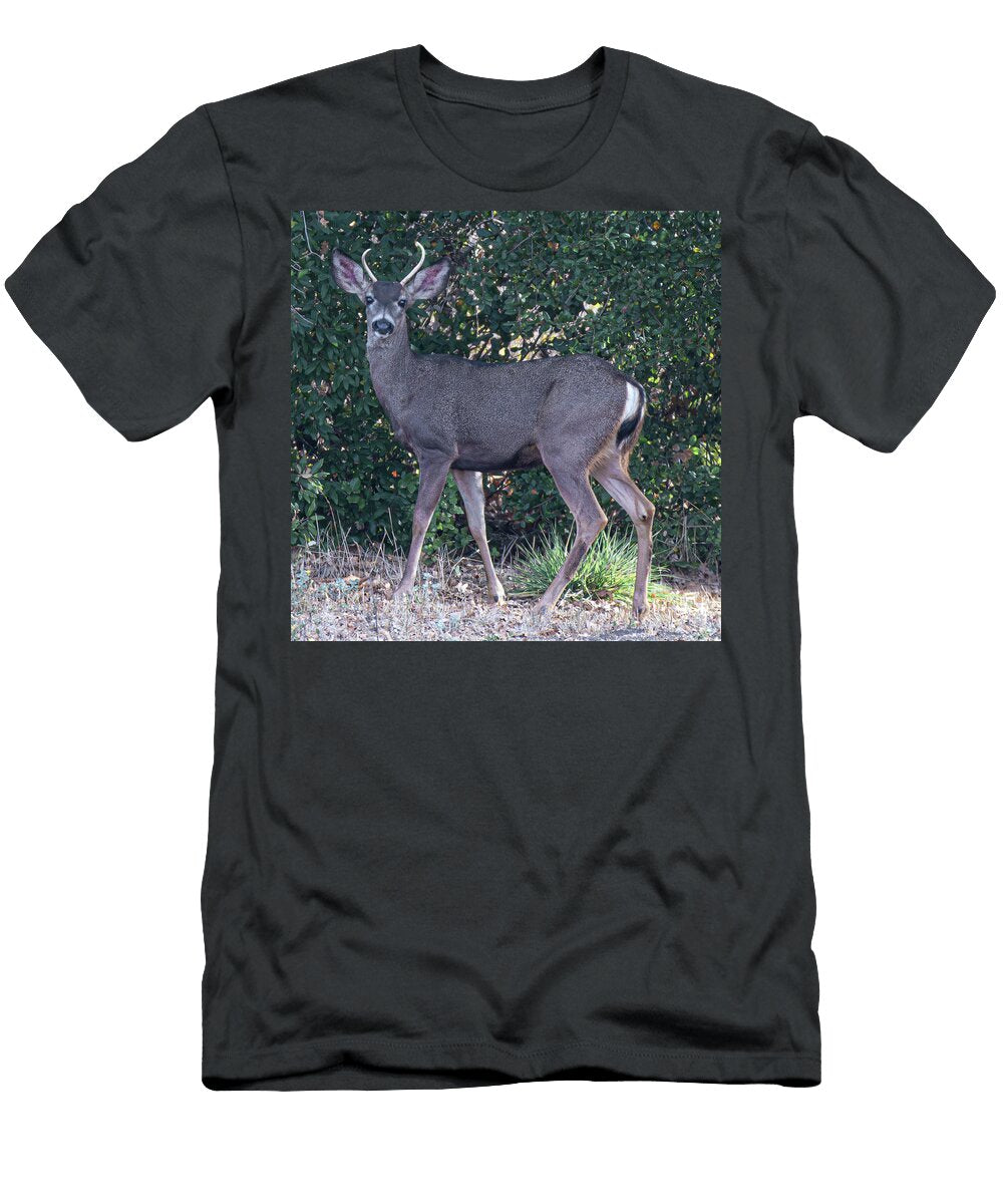 Awkward Adolescent Brian Morefield Prose Imagery T-Shirt