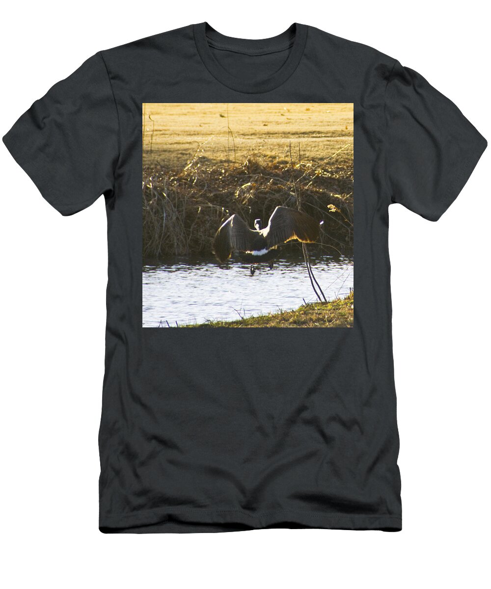 Awkward Beauty Vernis Maxwell T-Shirt