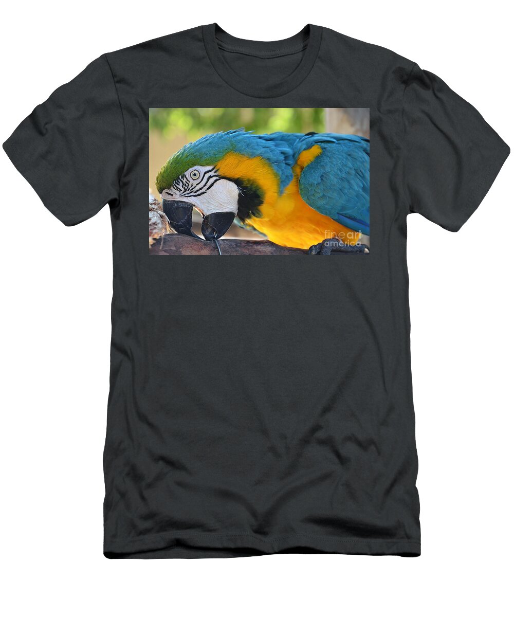 Awkward Cindy Manero T-Shirt