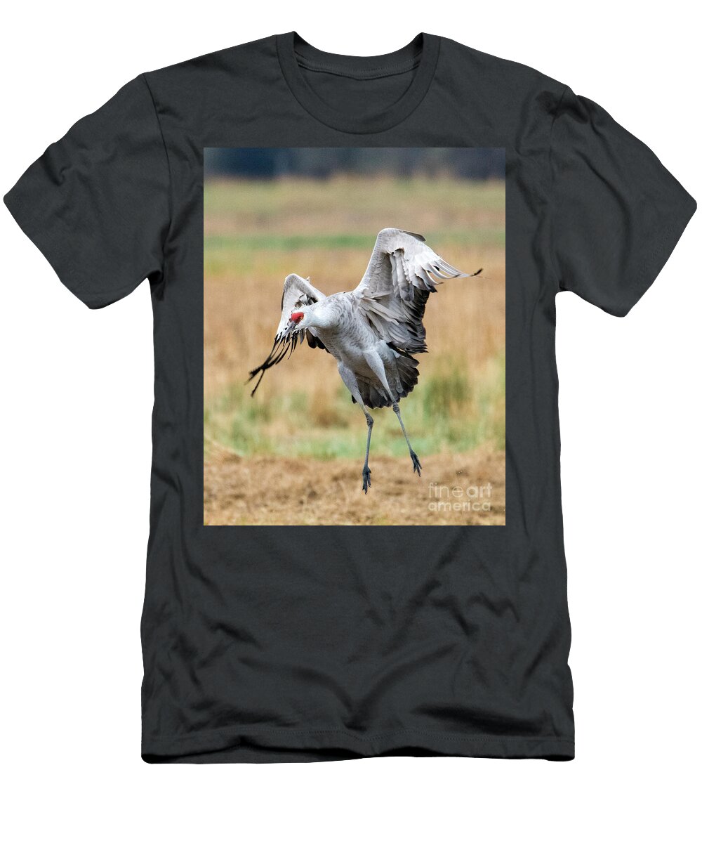 Awkward Landing Mike Dawson T-Shirt
