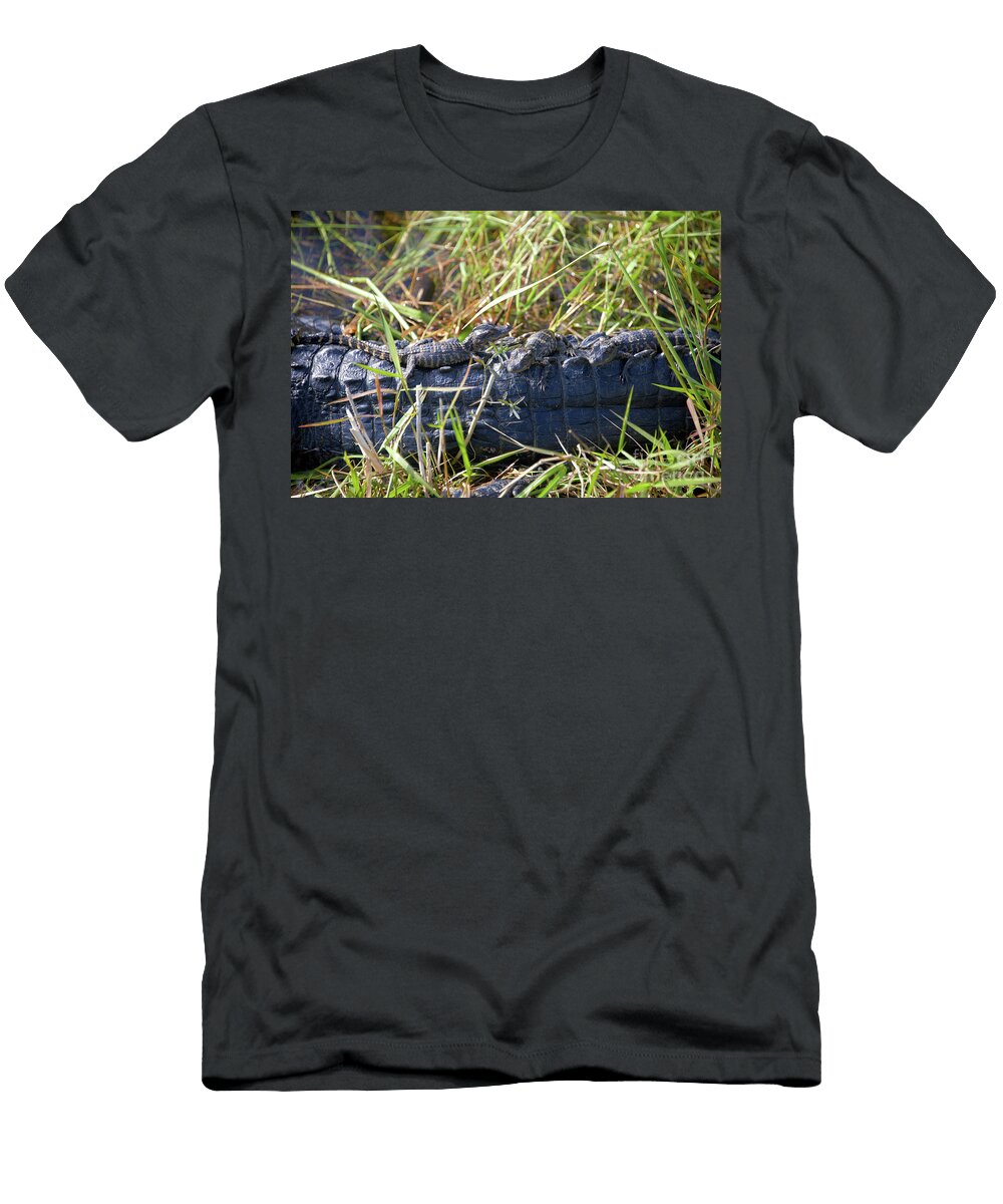 Baby Alligators in the Everglades David Lee Thompson T-Shirt