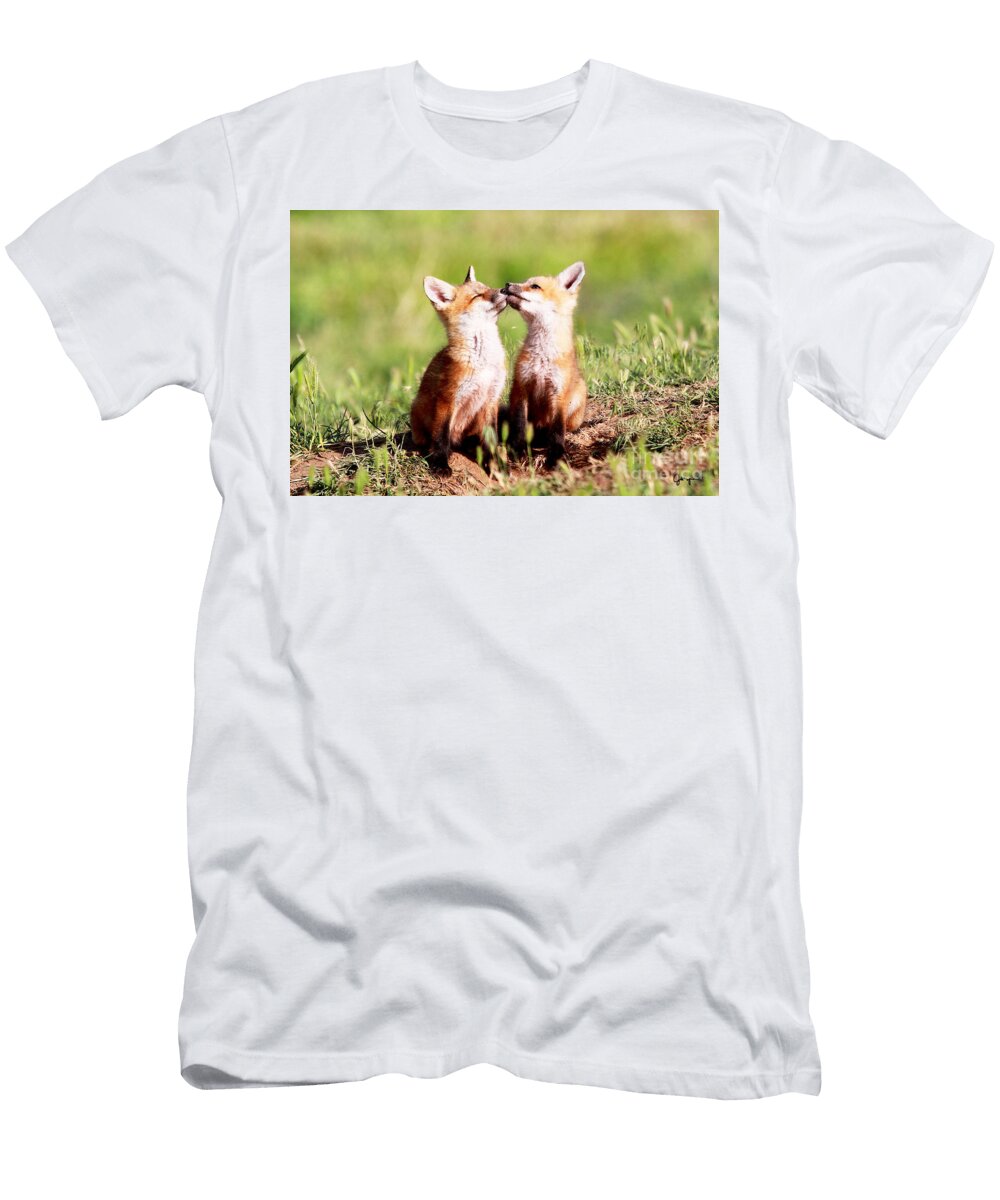 Baby Foxes 2 Julie Argyle T-Shirt