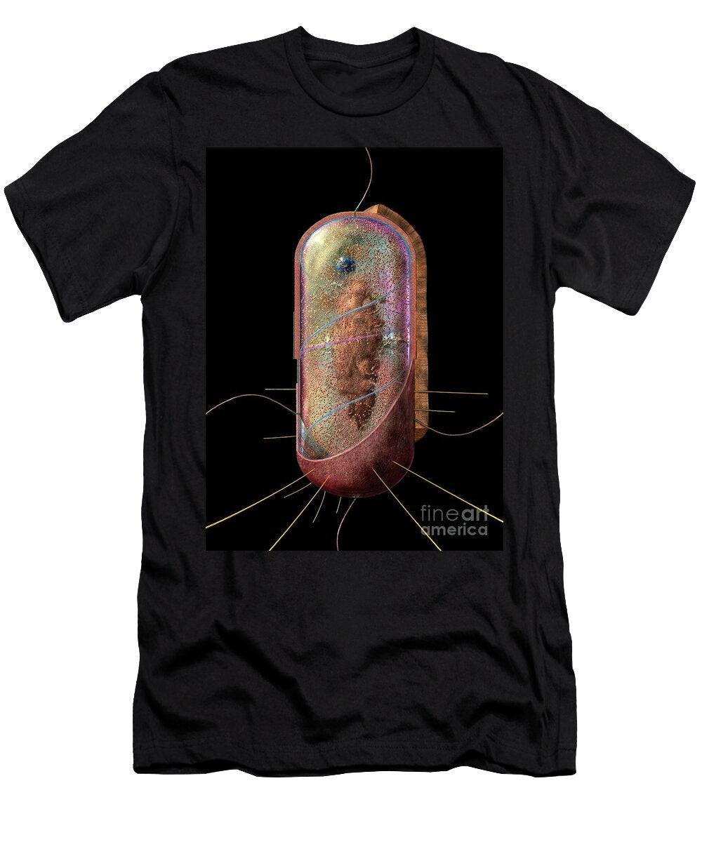 Bacterial Cell Generalised Russell Kightley T-Shirt