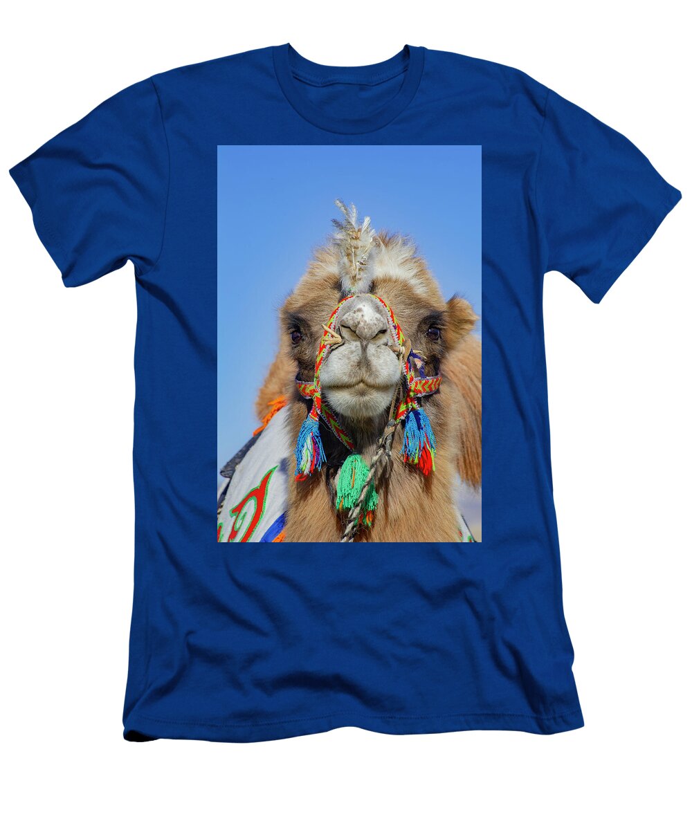 Bactrian Camel At the Eagle Hunters Festival Near Ulgii Jeff Foott Natureplcom T-Shirt