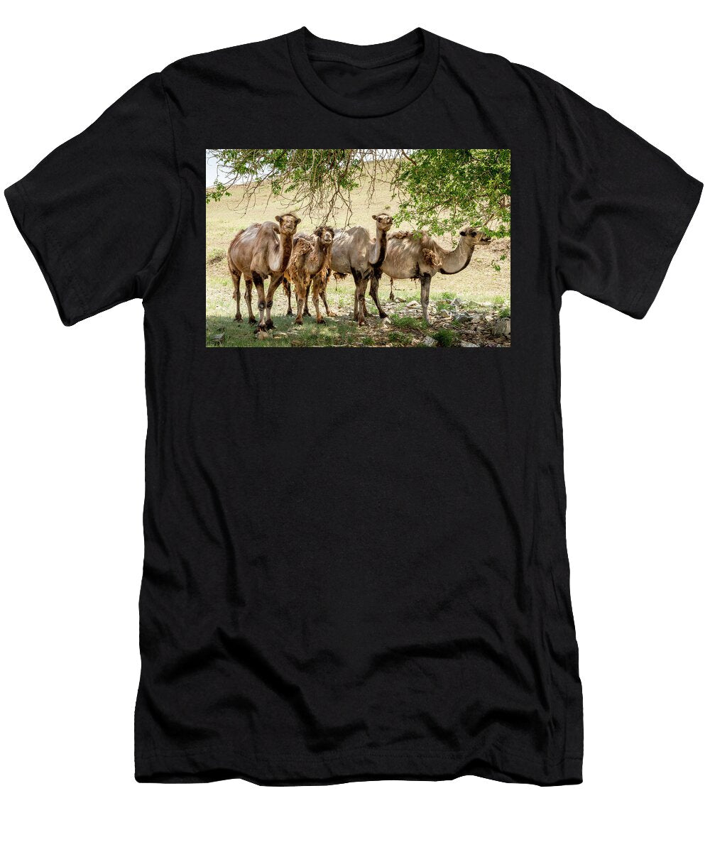 Bactrian Camel Steppe Grassland Altanbulag Paul Williams Natureplcom T-Shirt