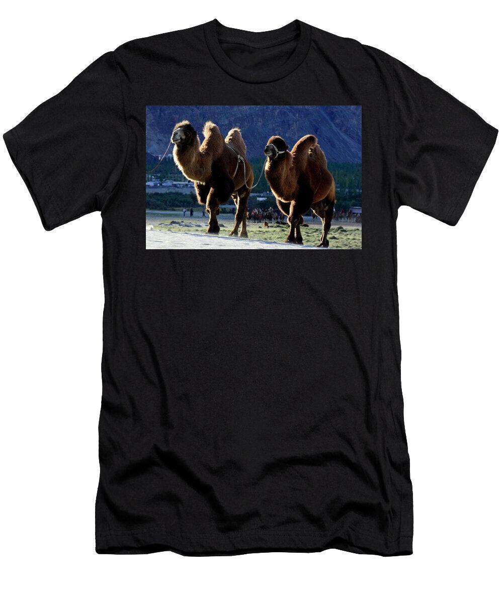 Bactrian Camels Nubra Valley Ladakh India September Enrique Lopez Tapia Natureplcom T-Shirt