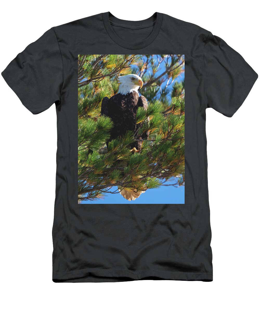 Bald Eagle Cale Best T-Shirt