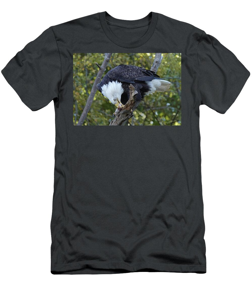 Bald Eagle Eating Fish Jack Nevitt T-Shirt