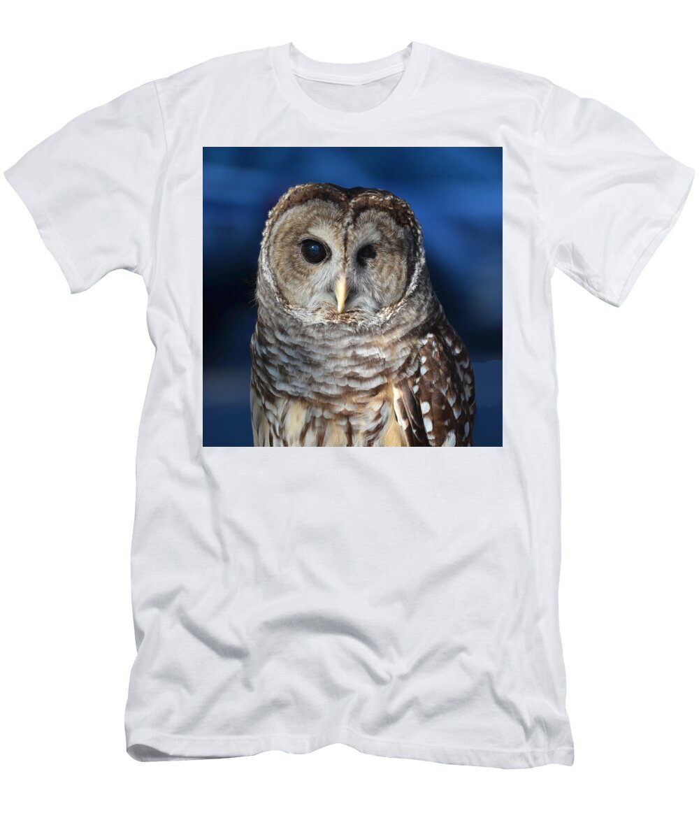 Barred Owl Philip Ralley T-Shirt