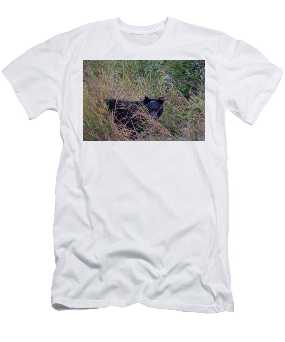 Bear in the Bush David Kirby T-Shirt