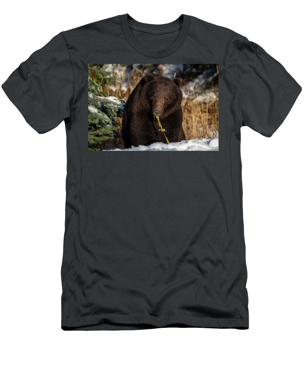 Bear in Winter Forest David Kirby T-Shirt