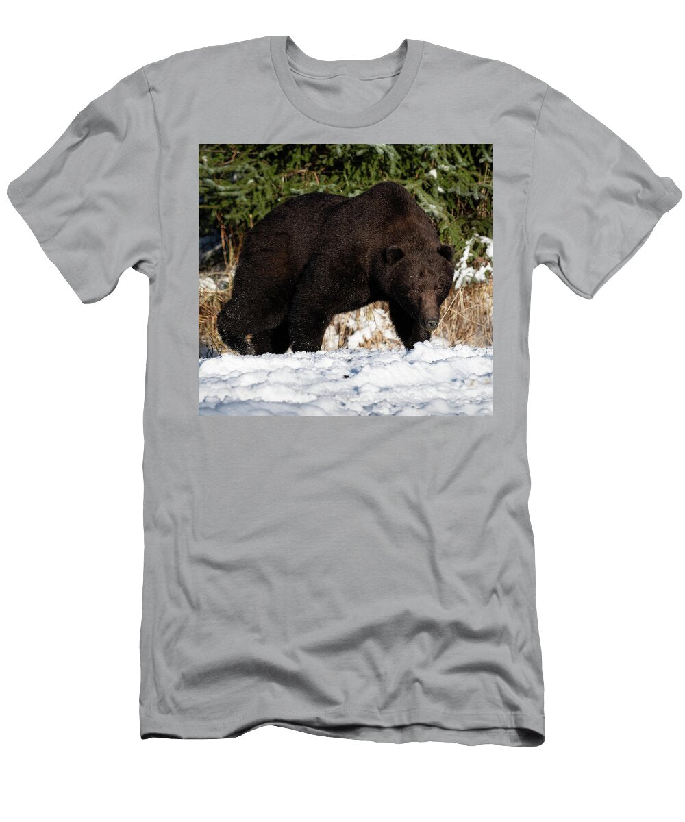 Bear Walking in Snowy Forest David Kirby T-Shirt